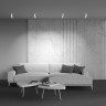 Потолочный светильник MAYTONI DAFNE C027CL-L10W